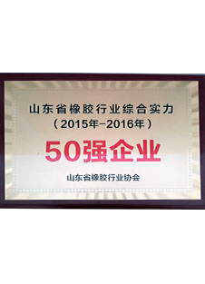 山東省橡膠行業(yè)綜合實(shí)力50強(qiáng)